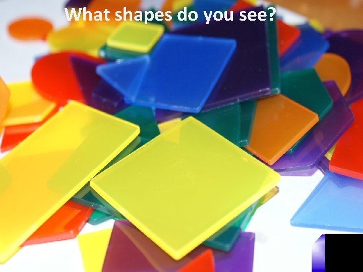 What shapes do you see? 