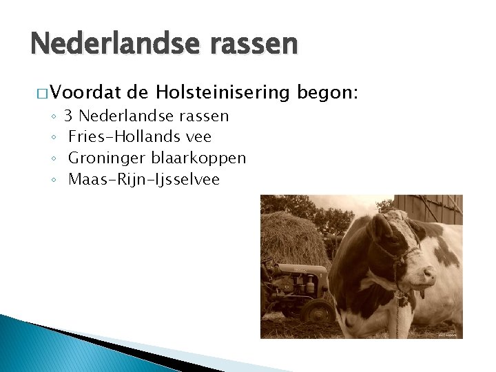 Nederlandse rassen � Voordat ◦ ◦ de Holsteinisering begon: 3 Nederlandse rassen Fries-Hollands vee