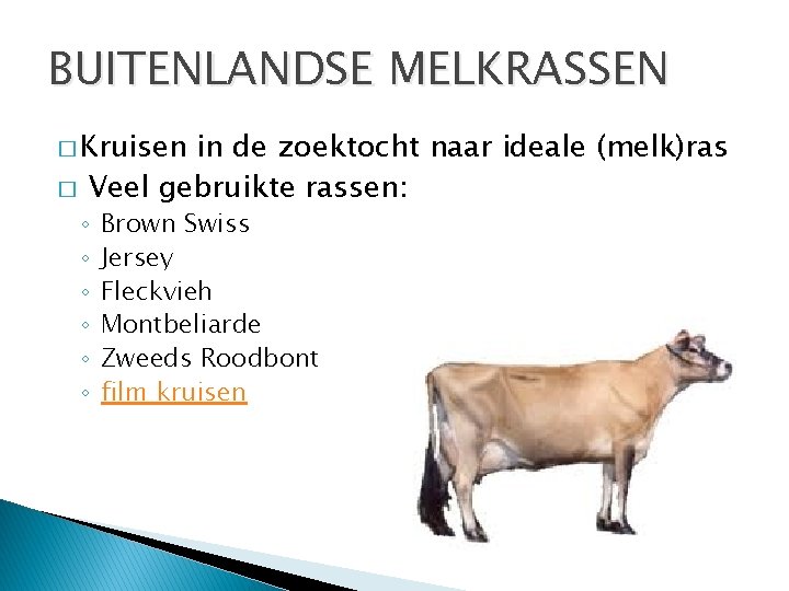 BUITENLANDSE MELKRASSEN � Kruisen � in de zoektocht naar ideale (melk)ras Veel gebruikte rassen: