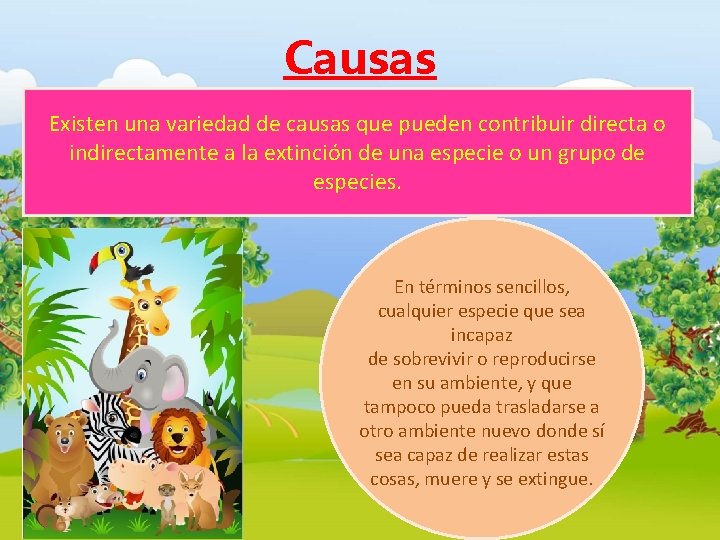Causas Existen una variedad de causas que pueden contribuir directa o indirectamente a la Causas Existen una variedad de causas que pueden contribuir directa o indirectamente a la
