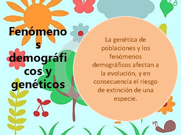Fenómeno s demográfi cos y genéticos La genética de poblaciones y los fenómenos demográficos Fenómeno s demográfi cos y genéticos La genética de poblaciones y los fenómenos demográficos
