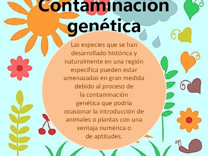 Contaminación genética Las especies que se han desarrollado histórica y naturalmente en una región Contaminación genética Las especies que se han desarrollado histórica y naturalmente en una región