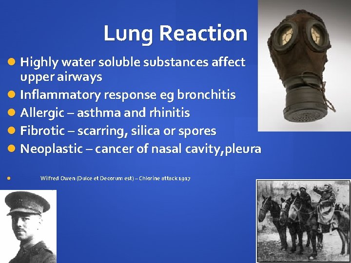 Lung Reaction Highly water soluble substances affect upper airways Inflammatory response eg bronchitis Allergic