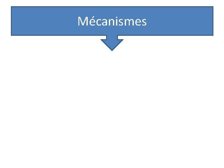 Mécanismes Mécanismes