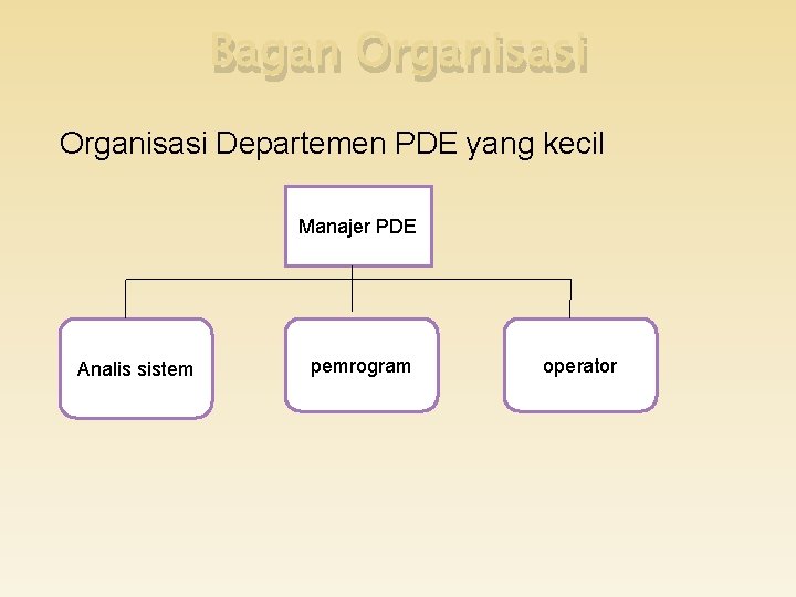 Bagan Organisasi Departemen PDE yang kecil Manajer PDE Analis sistem pemrogram operator 