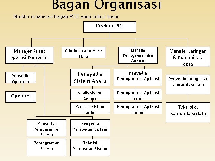 Bagan Organisasi Struktur organisasi bagian PDE yang cukup besar Direktur PDE Manajer Pusat Operasi