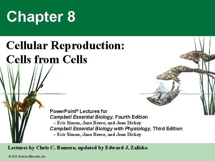 Chapter 8 Cellular Reproduction: Cells from Cells Power. Point® Lectures for Campbell Essential Biology,