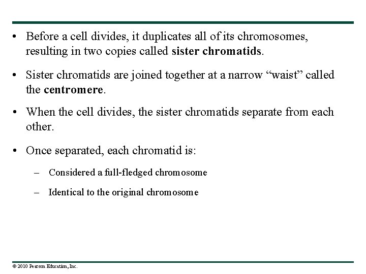  • Before a cell divides, it duplicates all of its chromosomes, resulting in