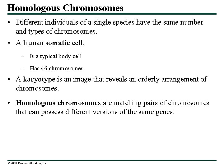 Homologous Chromosomes • Different individuals of a single species have the same number and