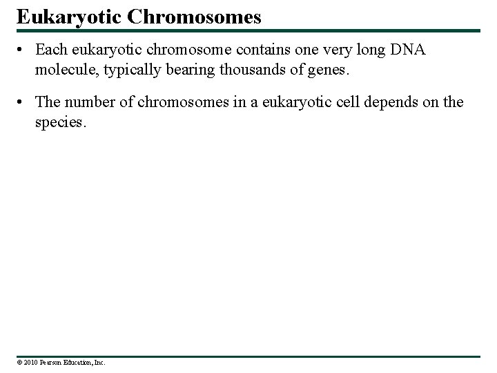 Eukaryotic Chromosomes • Each eukaryotic chromosome contains one very long DNA molecule, typically bearing