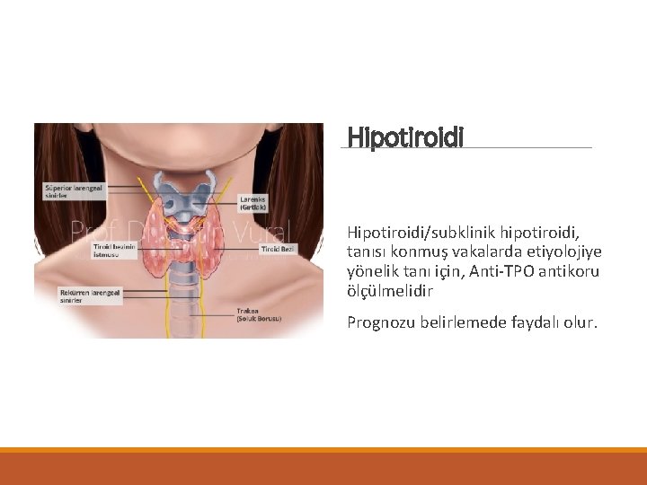 Hipotiroidi/subklinik hipotiroidi, tanısı konmuş vakalarda etiyolojiye yönelik tanı için, Anti-TPO antikoru ölçülmelidir Prognozu belirlemede