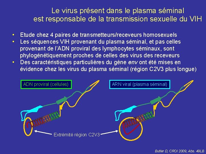 Le virus présent dans le plasma séminal est responsable de la transmission sexuelle du