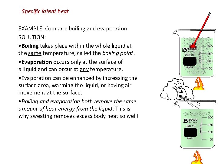 Specific latent heat EXAMPLE: Compare boiling and evaporation. SOLUTION: Boiling takes place within the