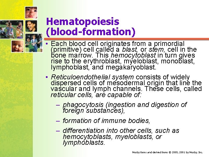 Hematopoiesis (blood-formation) • Each blood cell originates from a primordial (primitive) cell called a