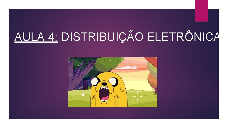 AULA 4: DISTRIBUIÇÃO ELETRÔNICA 