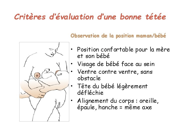 Critères d’évaluation d’une bonne tétée Observation de la position maman/bébé • Position confortable pour