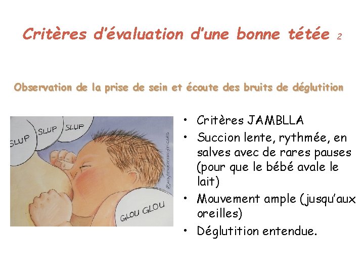 Critères d’évaluation d’une bonne tétée 2 Observation de la prise de sein et écoute