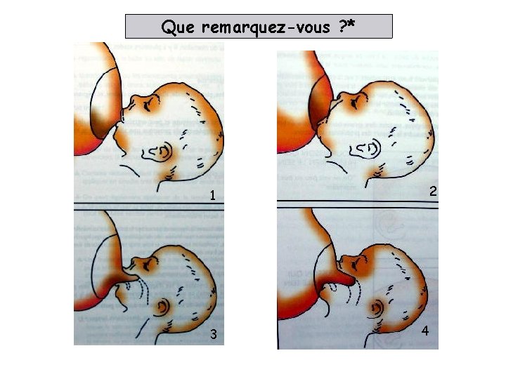 Que remarquez-vous ? * 2 1 3 4 