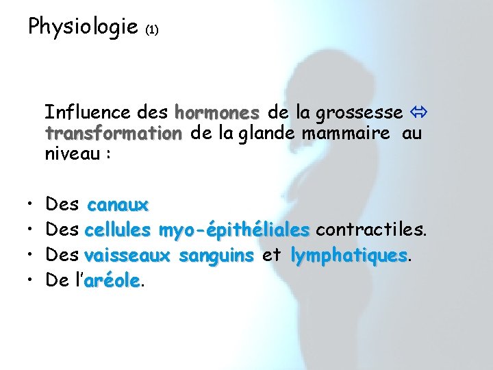 Physiologie (1) Influence des hormones de la grossesse transformation de la glande mammaire au