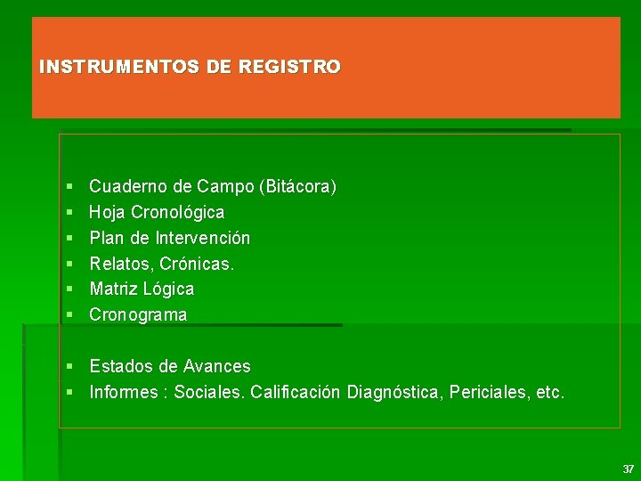 INSTRUMENTOS DE REGISTRO § § § Cuaderno de Campo (Bitácora) Hoja Cronológica Plan de