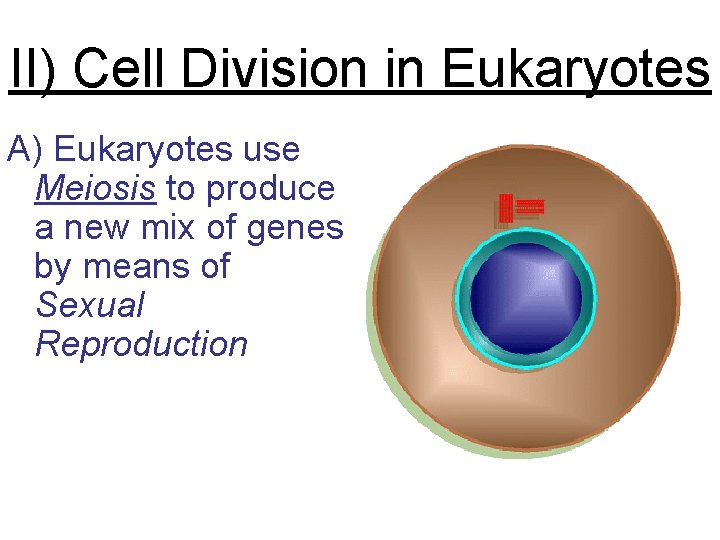 II) Cell Division in Eukaryotes A) Eukaryotes use Meiosis to produce a new mix