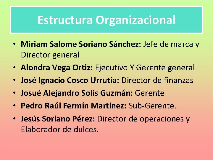 Estructura Organizacional • Miriam Salome Soriano Sánchez: Jefe de marca y Director general •