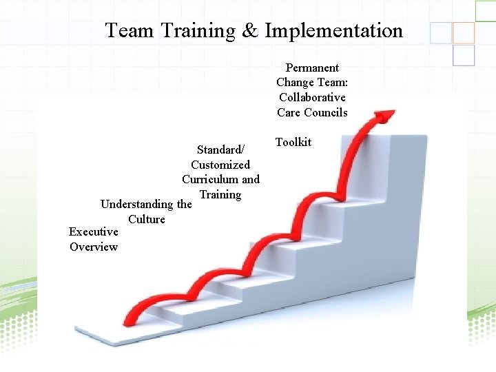  Team Training & Implementation Permanent Change Team: Collaborative Care Councils Standard/ Customized Curriculum