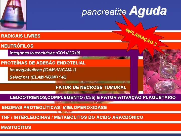 pancreatite Aguda INF LA MA RADICAIS LIVRES NEUTRÓFILOS ÇÃ O! ! Integrinas leucocitárias (CD