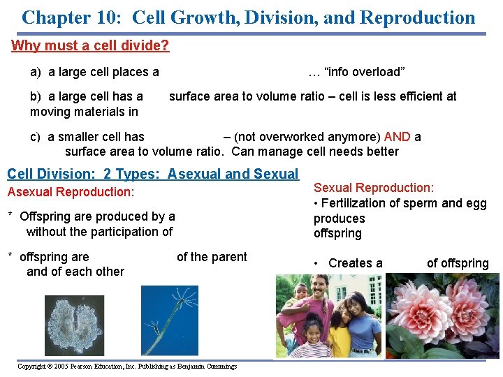 Chapter 10: Cell Growth, Division, and Reproduction Why must a cell divide? a) a