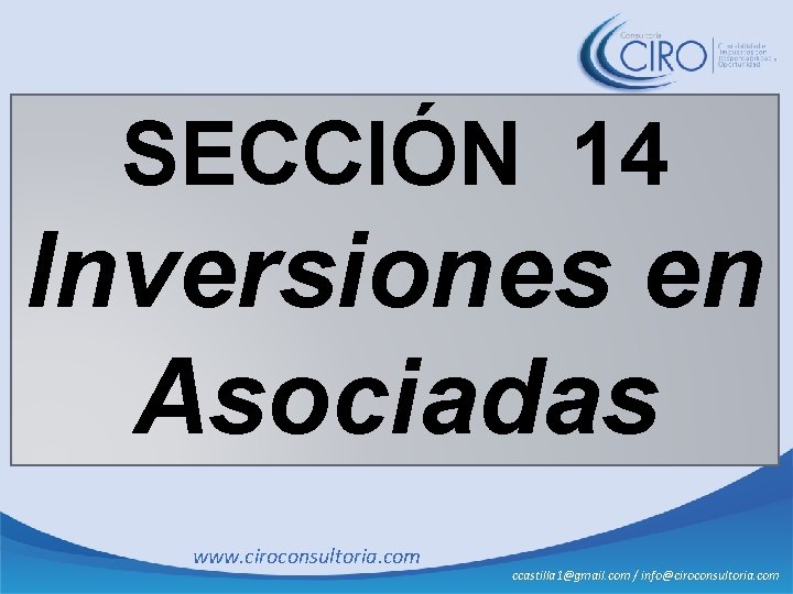 SECCIÓN 14 Inversiones en Asociadas www. ciroconsultoria. com ccastilla 1@gmail. com / info@ciroconsultoria. com