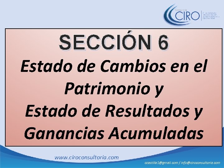 SECCIÓN 6 Estado de Cambios en el Patrimonio y Estado de Resultados y Ganancias