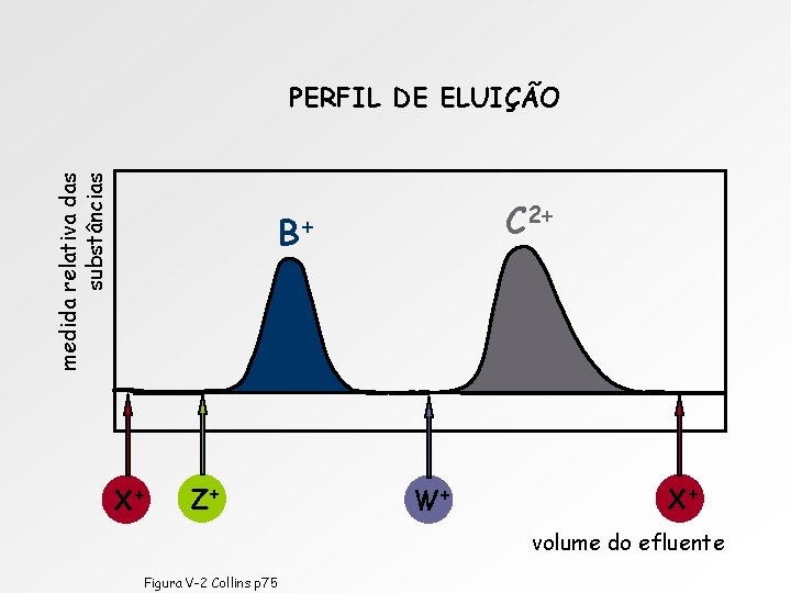 medida relativa das substâncias PERFIL DE ELUIÇÃO C 2+ B+ X+ Z+ W+ X+