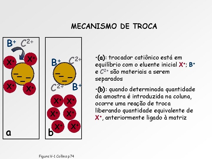 MECANISMO DE TROCA B+ C 2+ X+ X+ B+ X+ X+ C 2+ B+