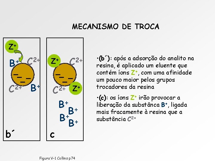 MECANISMO DE TROCA Z+ B+ C 2+ B+ b´ Z+ C 2+ c C