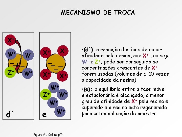 MECANISMO DE TROCA X+ W+ Z+ d´ W+ X+ X+ W+ Z+ W +