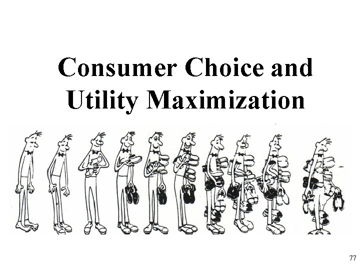Consumer Choice and Utility Maximization 77 