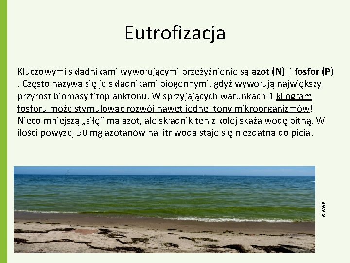 Eutrofizacja © WWF Kluczowymi składnikami wywołującymi przeżyźnienie są azot (N) i fosfor (P) .