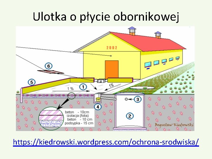 Ulotka o płycie obornikowej https: //kiedrowski. wordpress. com/ochrona-srodwiska/ 