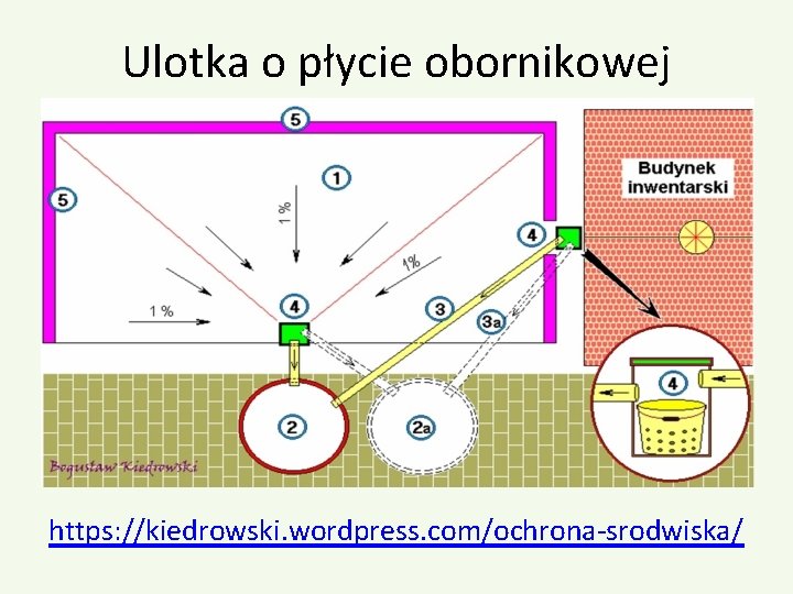 Ulotka o płycie obornikowej https: //kiedrowski. wordpress. com/ochrona-srodwiska/ 