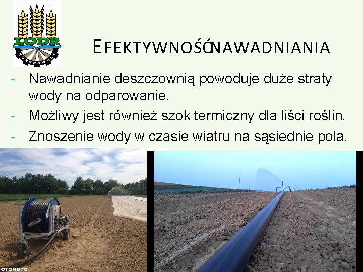 E FEKTYWNOŚĆ NAWADNIANIA - Nawadnianie deszczownią powoduje duże straty wody na odparowanie. - Możliwy