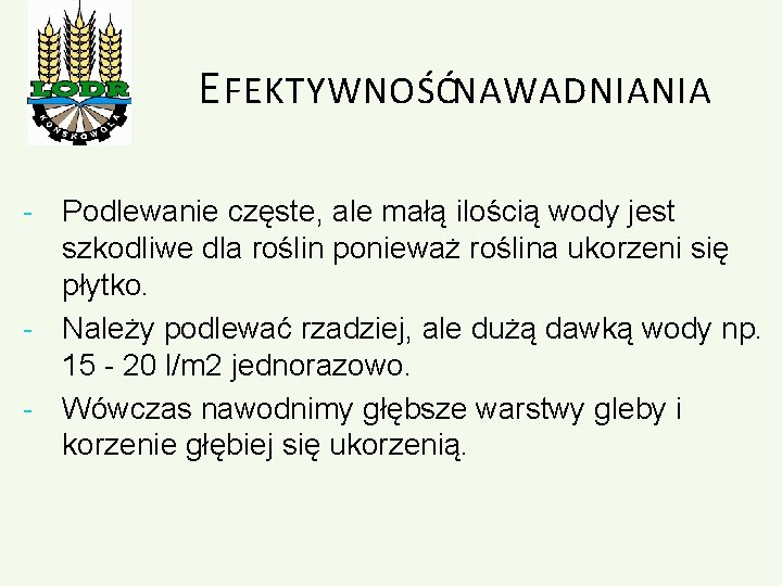 E FEKTYWNOŚĆ NAWADNIANIA - Podlewanie częste, ale małą ilością wody jest szkodliwe dla roślin