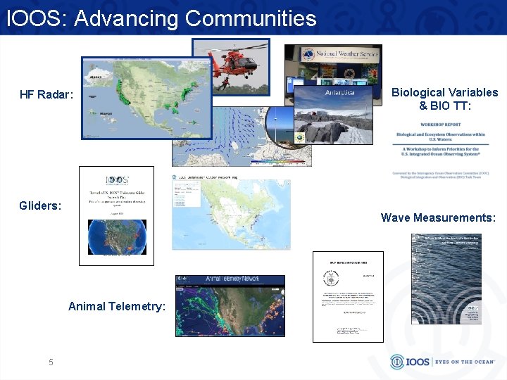 IOOS: Advancing Communities HF Radar: Gliders: Biological Variables & BIO TT: Wave Measurements: Animal