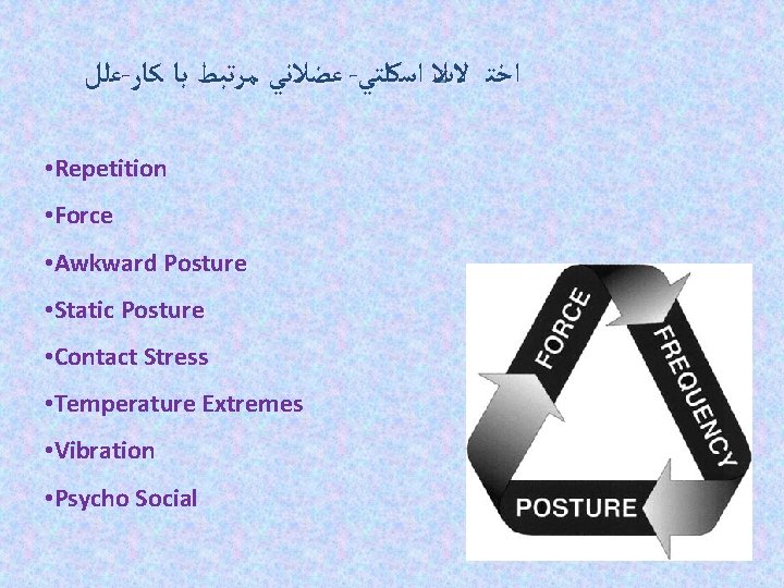  ﻋﻠﻞ - ﻋﻀﻼﻧﻲ ﻣﺮﺗﺒﻂ ﺑﺎ ﻛﺎﺭ - ﺍﺧﺘ ﻻﺕﻼ ﺍﺳﻜﻠﺘﻲ • Repetition •