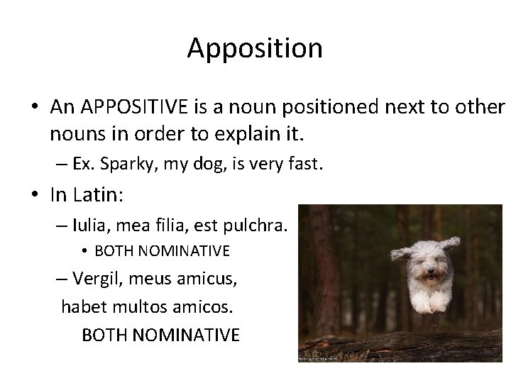 Apposition • An APPOSITIVE is a noun positioned next to other nouns in order