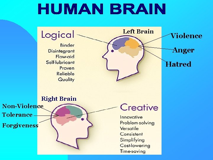 Left Brain Violence Anger Hatred Right Brain Non-Violence Tolerance Forgiveness 