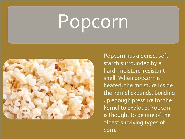 Popcorn has a dense, soft starch surrounded by a hard, moisture-resistant shell. When popcorn