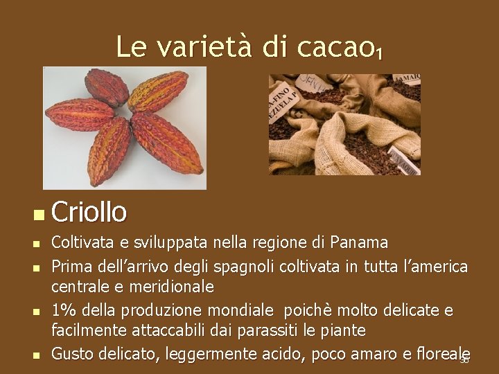 Le varietà di cacao₁ n Criollo n n Coltivata e sviluppata nella regione di