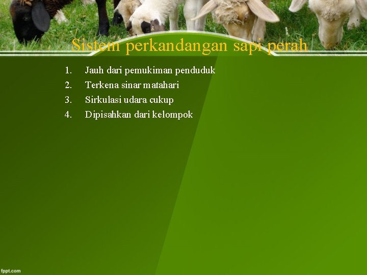 Sistem perkandangan sapi perah 1. 2. 3. 4. Jauh dari pemukiman penduduk Terkena sinar