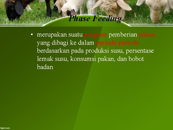 Phase Feeding • merupakan suatu program pemberian pakan yang dibagi ke dalam periode-periode berdasarkan