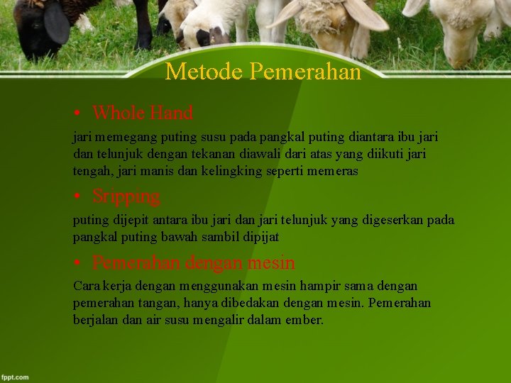 Metode Pemerahan • Whole Hand jari memegang puting susu pada pangkal puting diantara ibu